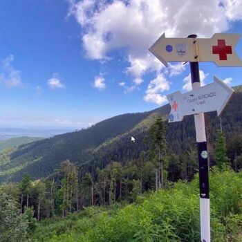 Fagarascher3-350x350