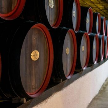 Moldawien4-1-350x350