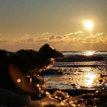 Sonnenaufgang1-350x350