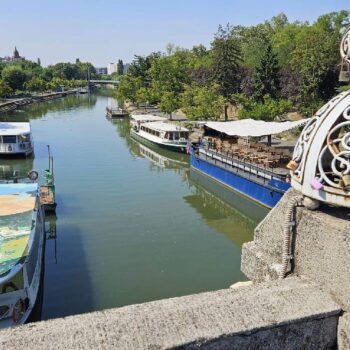 Timisoara3-1-350x350