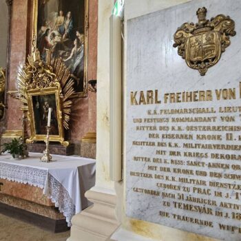 Timisoara4-1-350x350