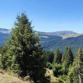 Transalpina6-350x350