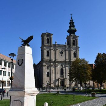 dumbraveni-1-350x350