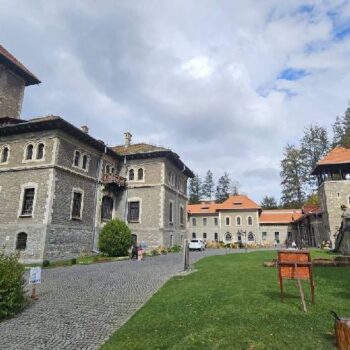 Cantacuzino4-350x350