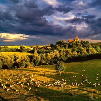 Transsylvanien3-1-350x350