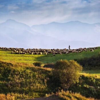 Transsylvanien4-350x350