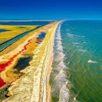 Wunderbares10-350x350