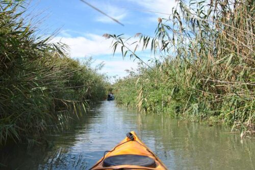 donaudelta-02-500x333