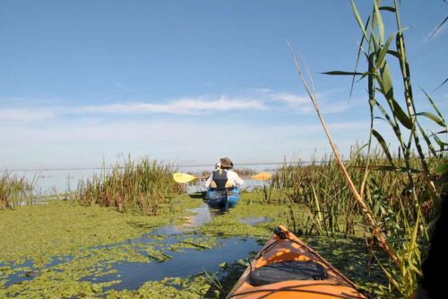 donaudelta-03-500x333