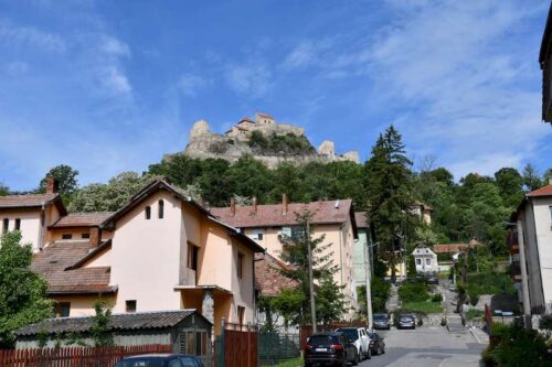 rupea-reps-02-500x333