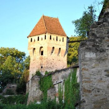 sighisoara8-350x350