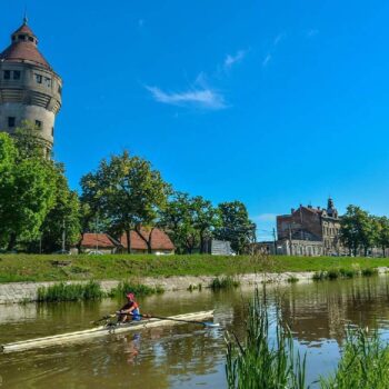 timisoara2-1-350x350