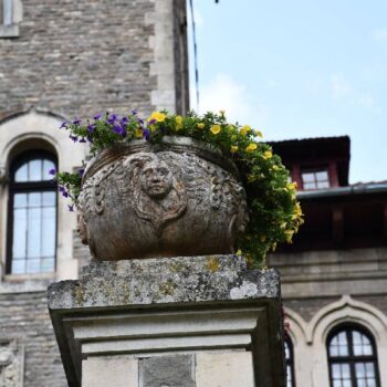 Cantacuzino9-350x350