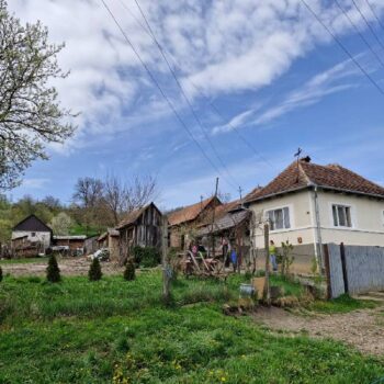 Ludwigsdorf2-350x350