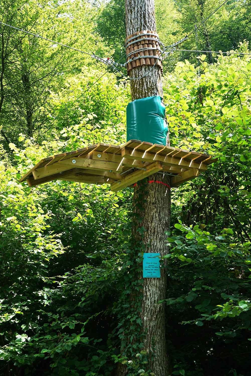 PARCUL-DE-AVENTURA-MONEASA-1