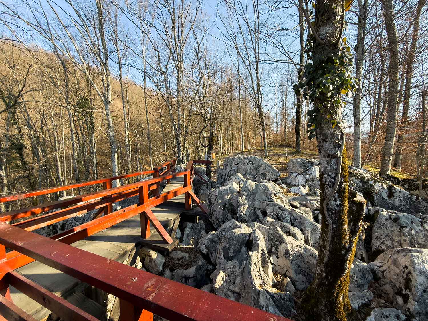 PUNCT-DE-BELVEDERE-3