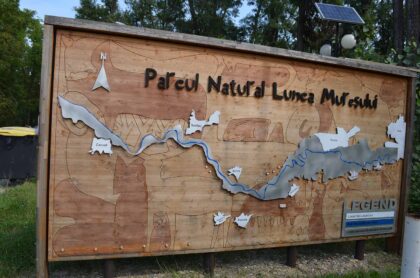 Parcul-Natural-Lunca-Muresului-2-420x278