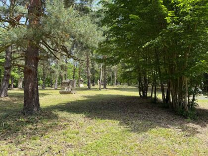 TABARA-DE-SCULPTURA-CASOAIA-2-420x315