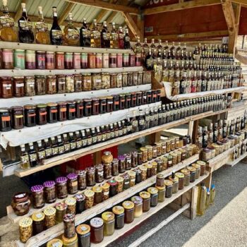 Transalpina11-350x350