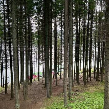 Transalpina9-350x350