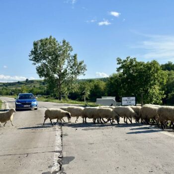 Transsylvanien-1-350x350