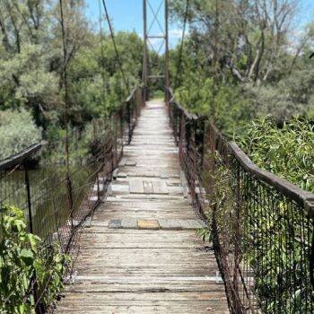 Transsylvanien1-1-350x350