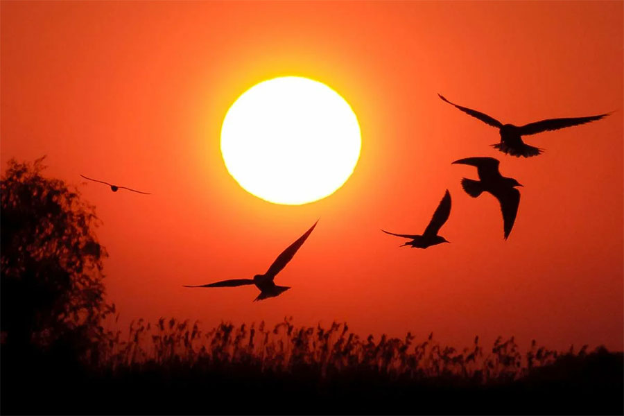 donaudelta-fur-camper-3-1