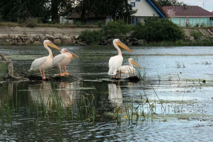 donaudelta-fur-camper-4-1-420x280