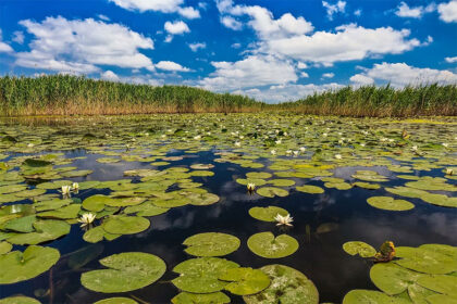 donaudelta-fur-camper-6-1-420x280