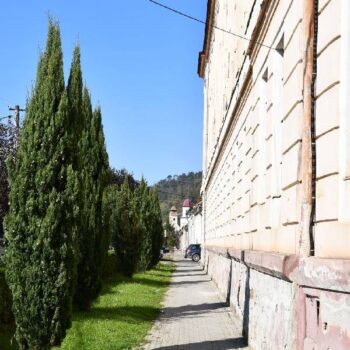 dumbraveni10-350x350