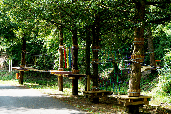 parcul-de-aventura-moneasa