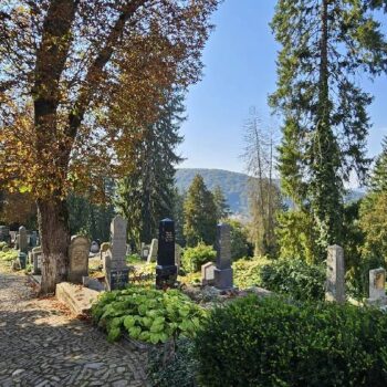 sighisoara10-350x350