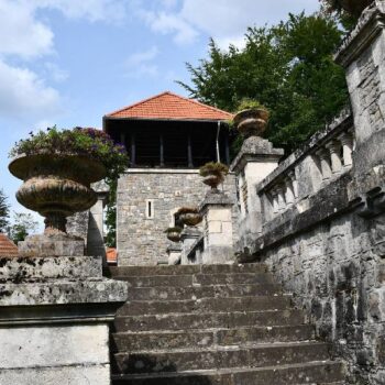 Cantacuzino8-350x350