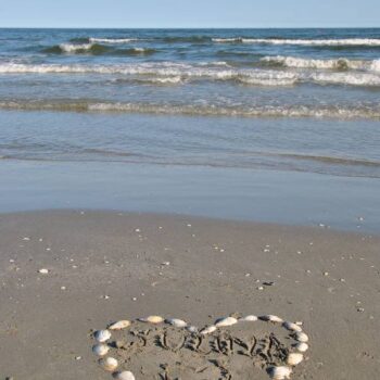 Donaudelta-2-350x350