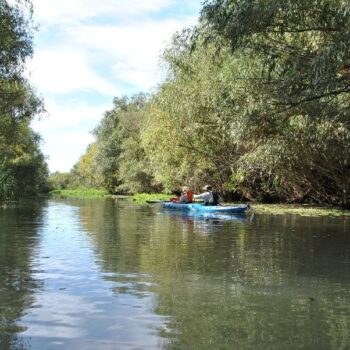 Donaudelta10-1-350x350