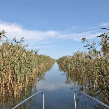 Donaudelta2-2-350x350