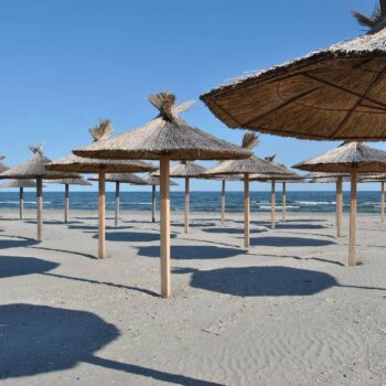 Donaudelta3-2-350x350