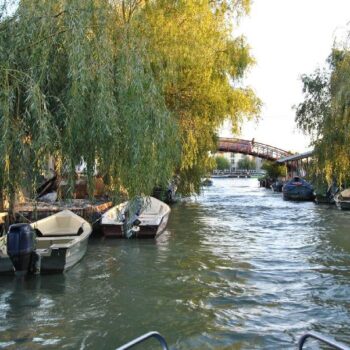 Donaudelta5-2-350x350