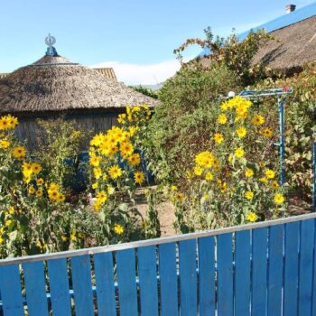 Donaudelta7-2-350x350