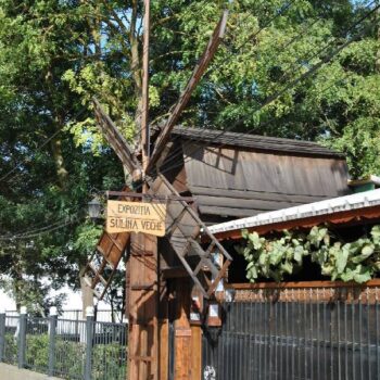 Donaudelta9-1-350x350