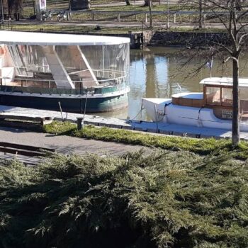 Timisoara3-1-350x350