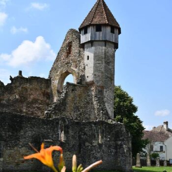 brukenthal1-1-350x350