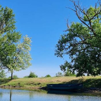 donaudelta-1-350x350