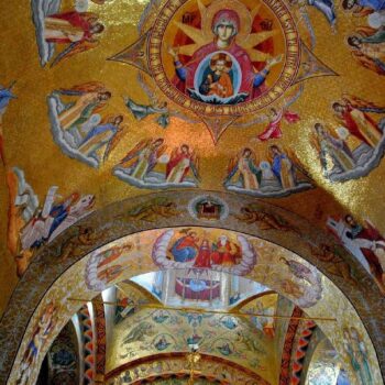 donaudelta6-1-350x350