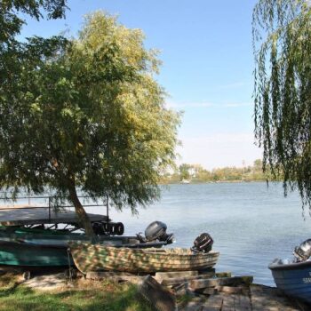 donaudelta7-1-350x350