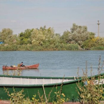 donaudelta8-1-350x350