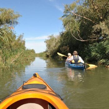Donaudelta9-1-350x350