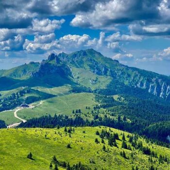 Gropsoarele2-350x350