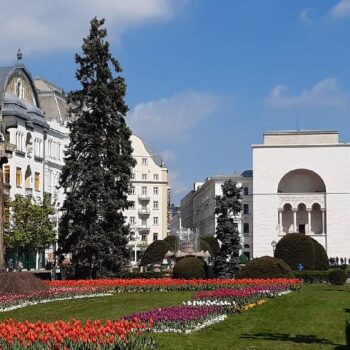 Timisoara1-350x350