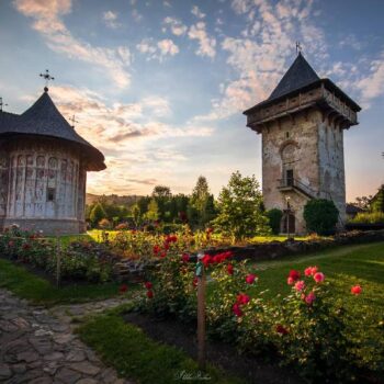 bucovina3-350x350